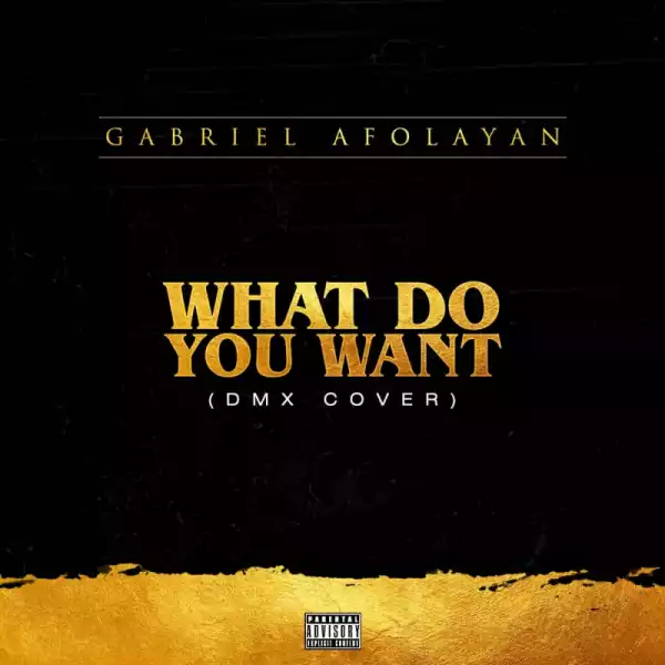Gabriel Afolayan - What Do You Want